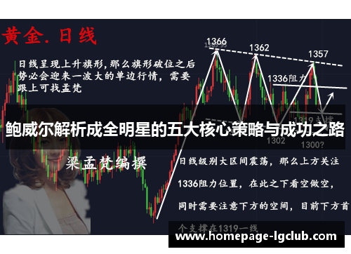 鲍威尔解析成全明星的五大核心策略与成功之路